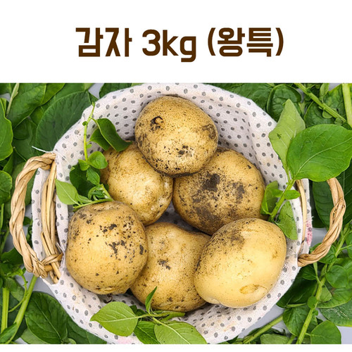 신선 감자 3kg(왕특)
