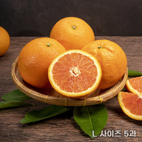 [흙이음] 고당도 블랙라벨 오렌지 L 사이즈 5과