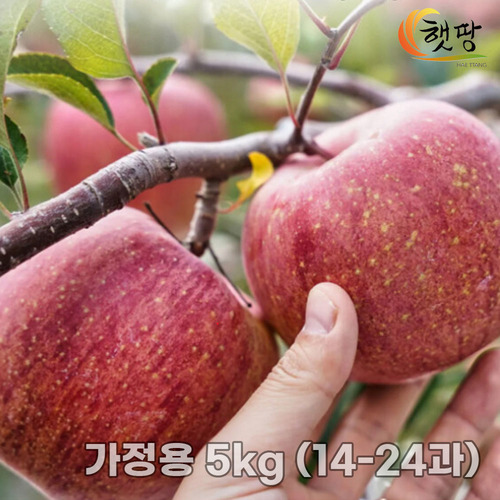 와이즈핏 분무형 물걸레 청소기 + 물걸레 청소포 3개