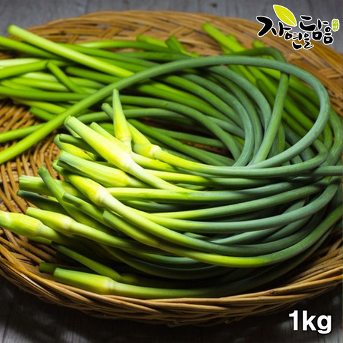 ★5월한정시즌상품★[자연을담음] 국내산 프리미엄 햇 남도 마늘쫑 1kg