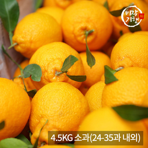 [미각기행] 제주 한라봉 가정용 4.5KG 소과(24-35과 내외)