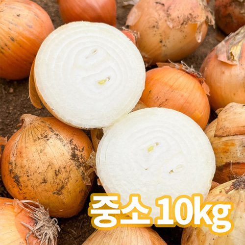 청년농가 고품질 국내산 양파 10kg 중소