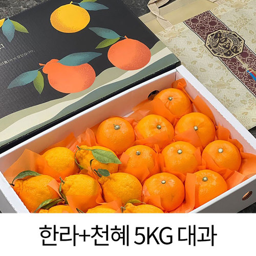 [햇땅] 제주 반반세트 프리미엄 선물세트 한라+천혜 5KG 대과