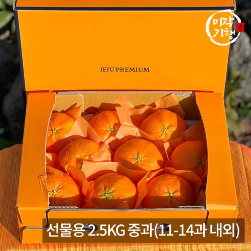 [미각기행] 제주 레드향 선물용 2.5KG 중과(11-14과 내외)
