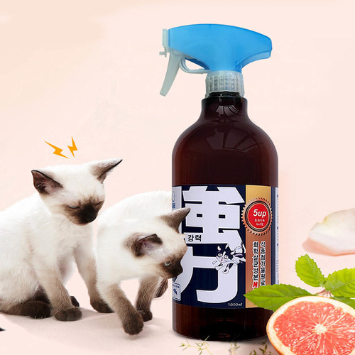 고양이 접근금지 5배 지속형