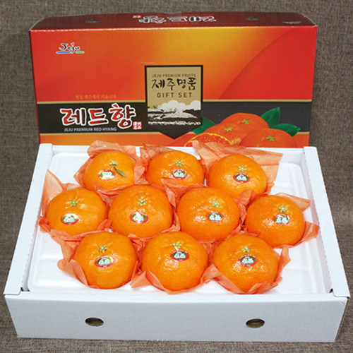 [내츄럴초이스] 명품레드향세트 2호 (3kg 10-12과)