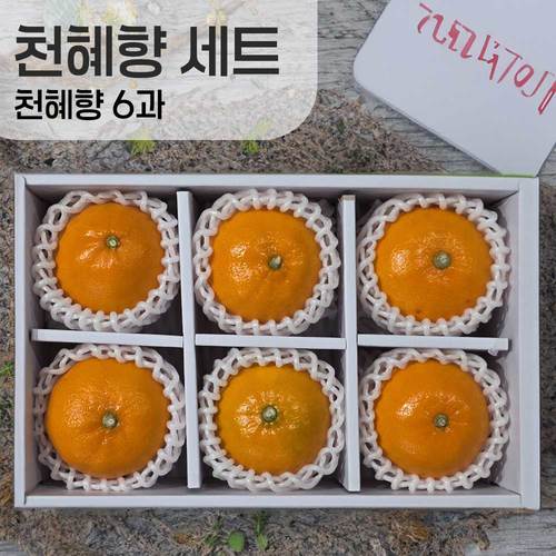[선물세트] 천혜향 6과