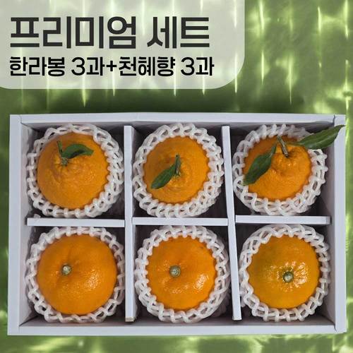 [선물세트] 천혜향 3과+한라봉 3과