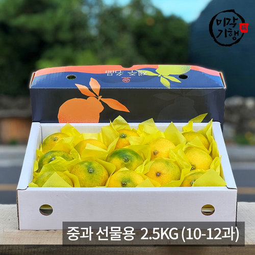 [미각기행] 제주 황금향 중과 선물용 2.5KG (10-12과)