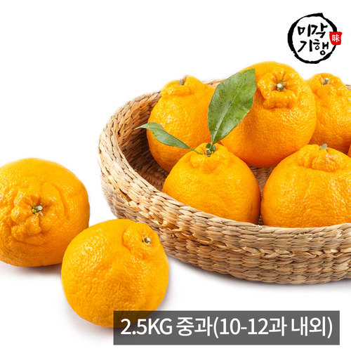 [미각기행] 제주 한라봉 가정용 2.5KG 중과(10-12과 내외)