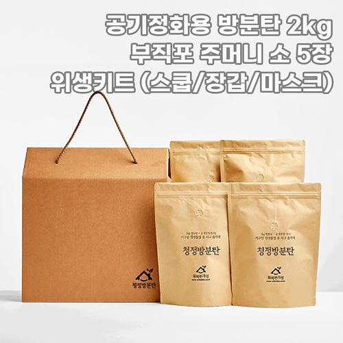 디씨즈 차량용 공기정화기 A100