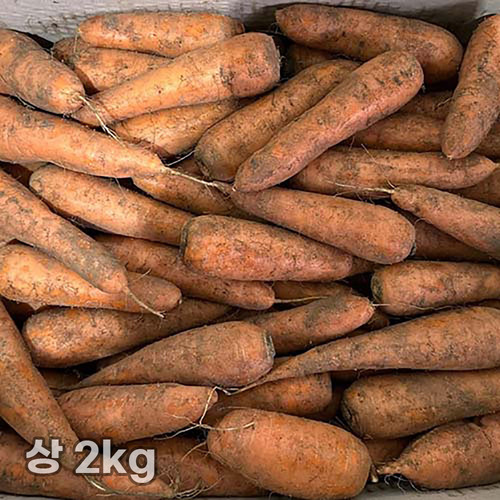 [흙이음] 제주 구좌 흙당근 상 2kg
