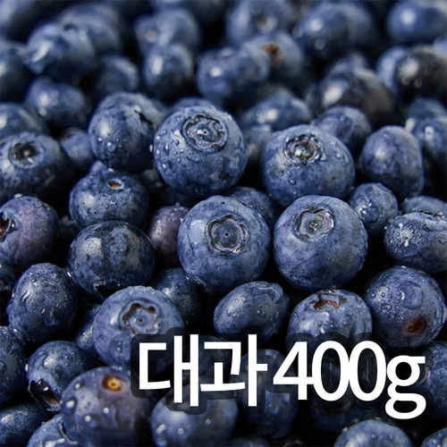[청년과수원] 국내산 햇 블루베리 대과 400g