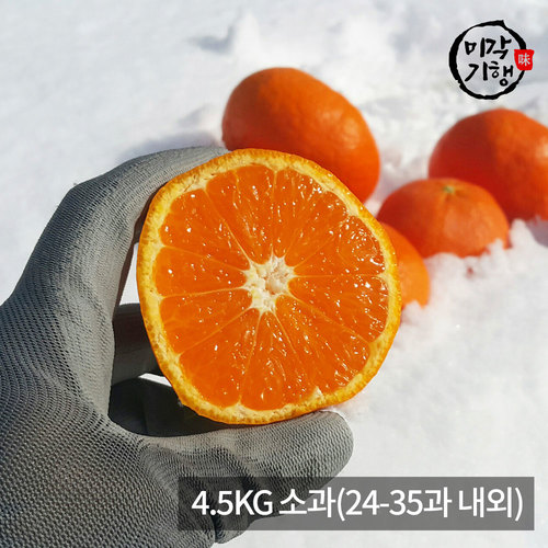 [미각기행] 제주 레드향 가정용 4.5KG 소과(24-35과 내외)