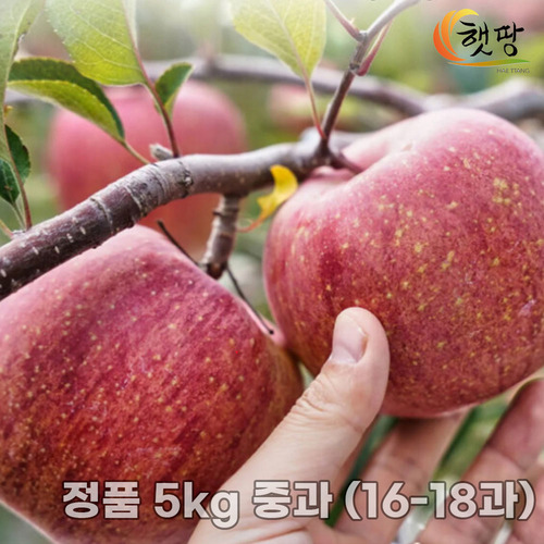 [앙쥬] 비타100 우유 미백크림 50ml
