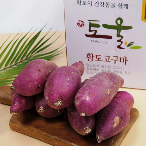 [가락시장 경매직송] 깨끗하게 세척된 맛있는 황금 호박고구마(토울 고구마)/로얄(200~300g 내외)5kg