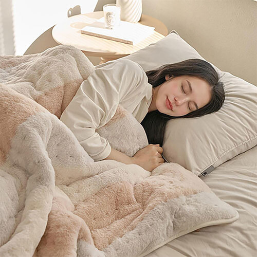 프롬비 프리미엄 전기담요 전기요 FE242N 허니베이지 대형