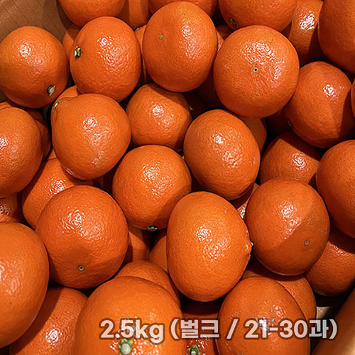 [흙이음] 제주 홍매향 소과 2.5kg (벌크 / 21-30과)