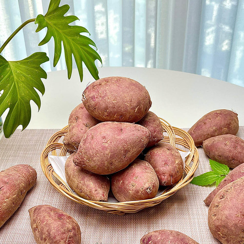 세척 꿀고구마 10kg 한입(20~50g내외)