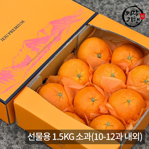 [미각기행] 제주 천혜향 선물용 1.5KG 소과(10-12과 내외)