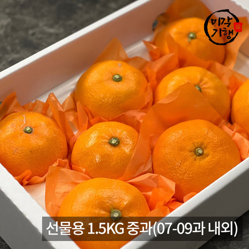 [미각기행] 제주 천혜향 선물용 1.5KG 중과(07-09과 내외)