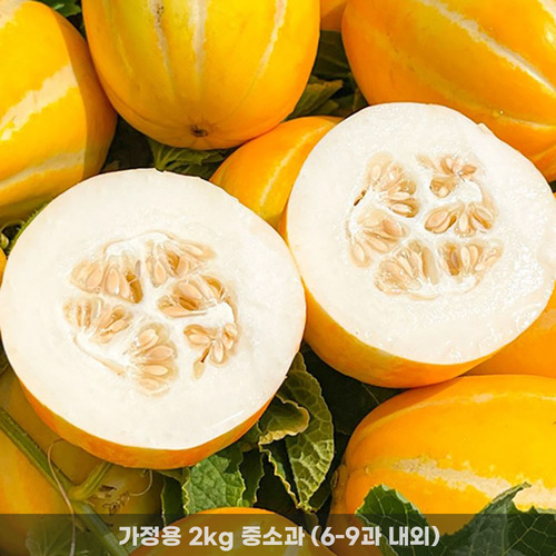 [청년농가] 성주 하우스 꿀참외 가정용 성주참외 2kg 중소과(6-9과 내외)