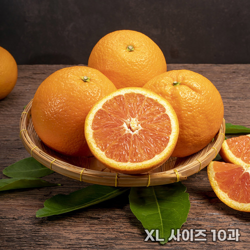 [흙이음] 고당도 블랙라벨 오렌지 XL 사이즈 10과