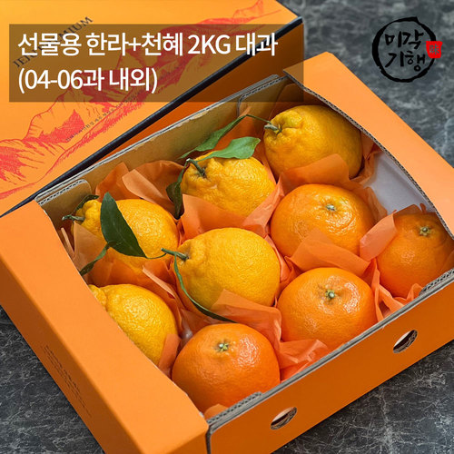 [미각기행] 제주 선물용 한라+천혜 2KG 대과(04-06과 내외)