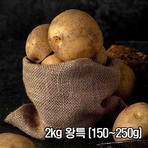포슬한 맛이 일품인 26년 두백감자 2kg 왕특 (150~250g)