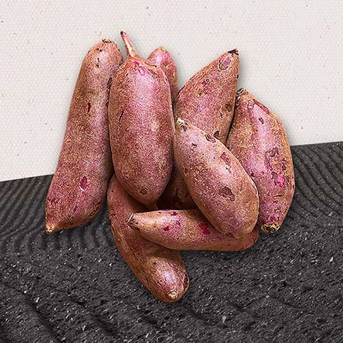 여주 고구마 (호박/꿀) 왕 왕왕 개당 270g 이상 ~ 총 2kg