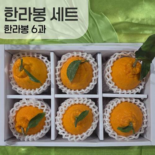[선물세트] 한라봉 6과