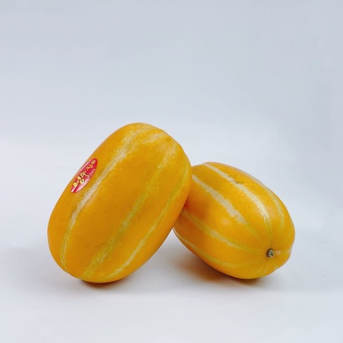 산지직송 성주 고당도 하우스 꿀참외 [정품] 성주 참외 중과 (15-20과 내외) 5kg (개별망)