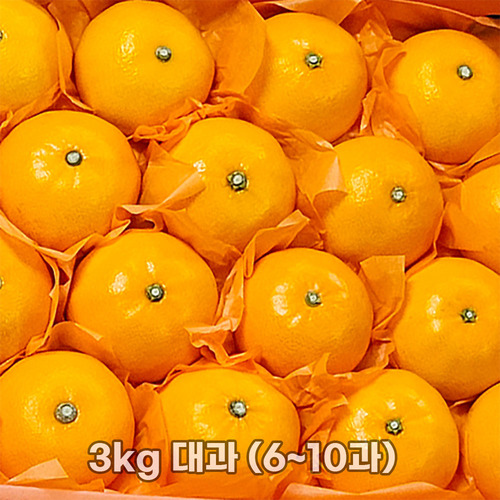 제주직송 천혜향 실중량 2.5kg (선물세트 부직포가방) 대과 (6~10과)