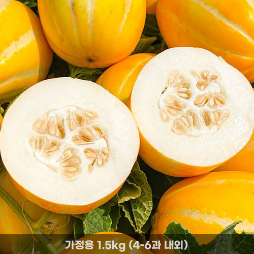 [청년농가] 첫출하 성주 하우스 꿀참외(가정용) 1.5kg(4-6과 내외)