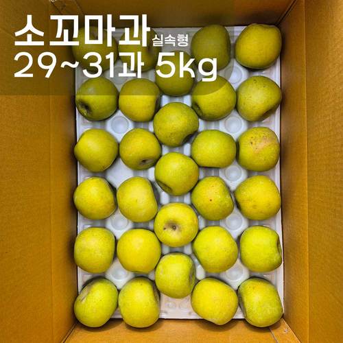 산지직송! 시나노골드 황금사과 소꼬마과 29-31과 5kg / 실속형