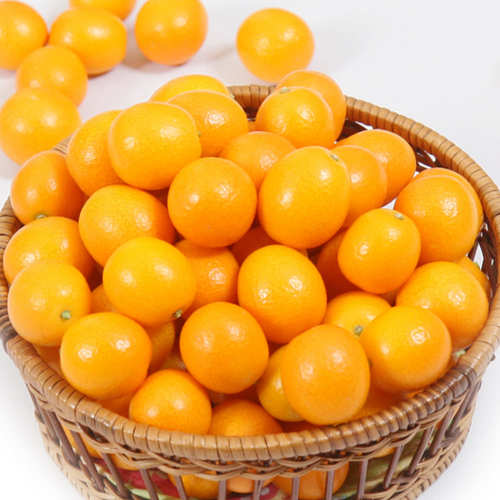 [더기다림] 향기가득 금귤(낑깡) 2kg(2번과)/일반포장