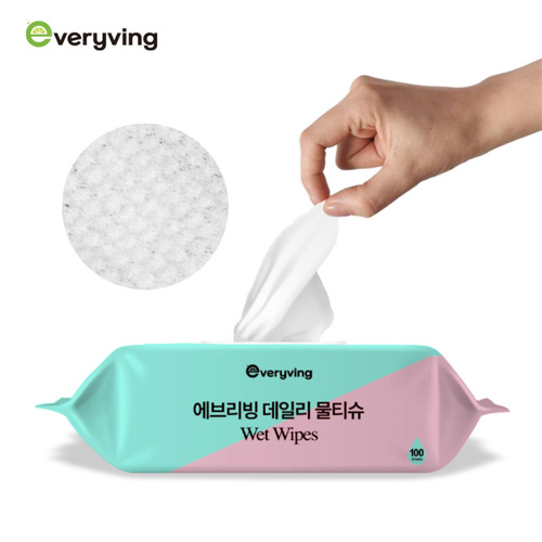 에브리빙 데일리 물티슈 100매 10개