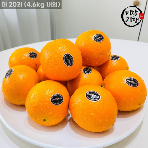 [미각기행] 고당도 블랙라벨 오렌지 대 20과(6KG내외)