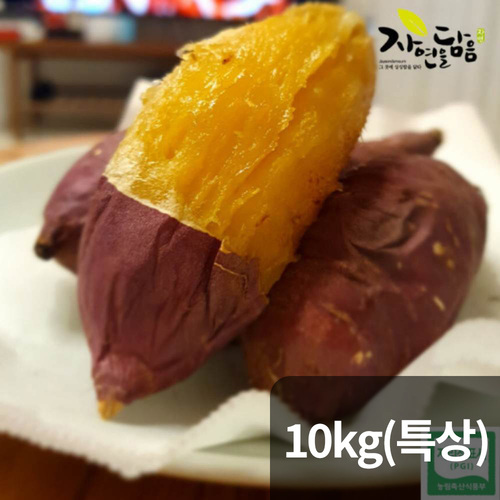 자연을담음 해남 호박고구마 10kg 특상/ 산지직송