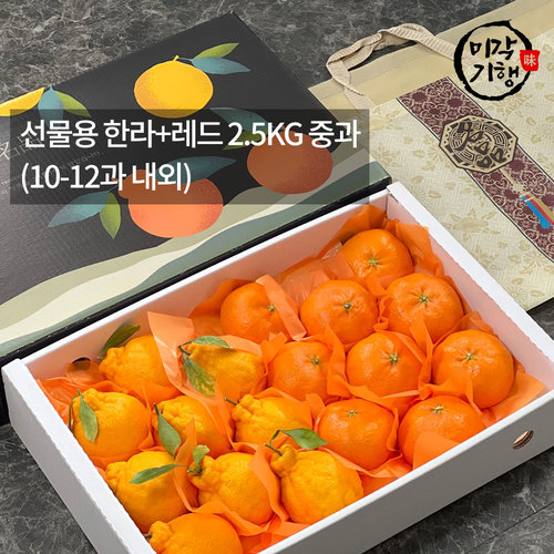 [미각기행] 제주 선물용 한라+레드 2.5KG 중과(10-12과 내외)