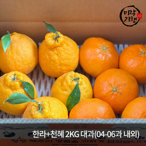 [미각기행] 제주 가정용 한라+천혜 2KG 대과(04-06과 내외)