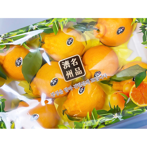 푸드삼대장 제주 한라봉 3kg 8~13과내외 선물포장