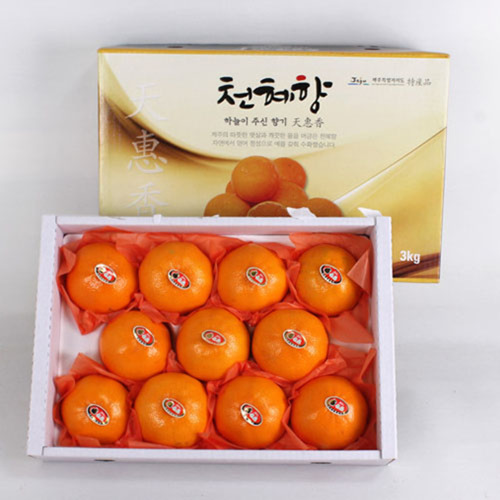 [내츄럴초이스] 명품천혜향세트 1호 (3kg 11-13과)