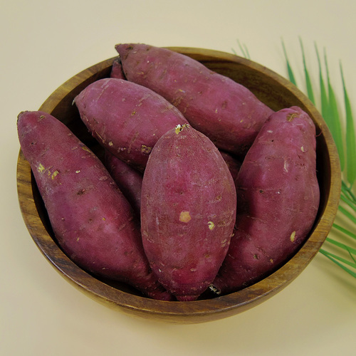 [가락시장 경매직송] 깨끗하게 세척된 맛있는 황금 호박고구마(토울 고구마)/한입(30~80g 내외)10kg