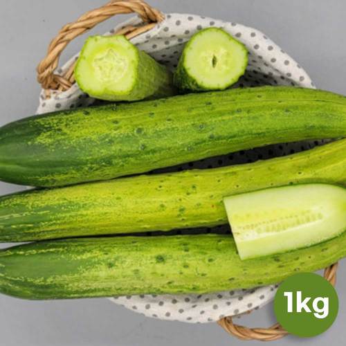 국산 백오이 1kg(정품3~5개)