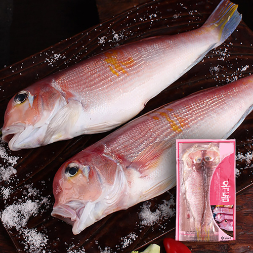 홍옥돔 (중/1kg / 5~6미)