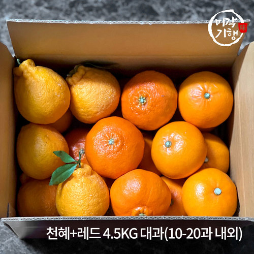 [미각기행] 제주 가정용 천혜+레드 4.5KG 대과(10-20과 내외)