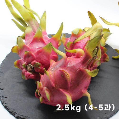 용과 2.5kg ( 4-5과 )