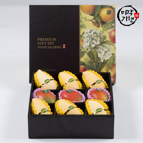 [미각기행] 프리미엄 혼합과일 선물세트 3호[망고 혼합 선물세트 5kg (골드망고 6과 + 애플망고 3과)]