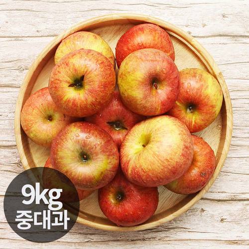 달옥농산 부사(가정용) 사과 9kg 중대과 (31~36과)
